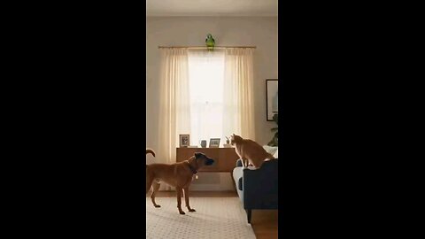 When Your Parrot Becomes a Sports Announcer