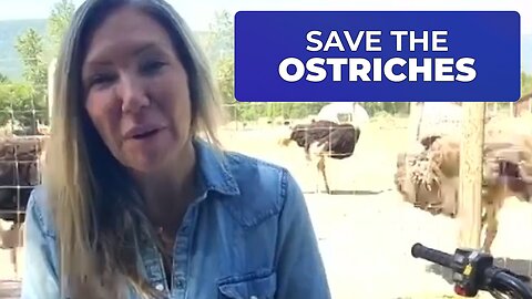 SAVE THE OSTRICHES FROM THE CANADIAN FEDERAL GOVERNMENT