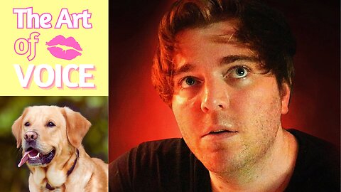 GRAPHIC! Shane Dawson's GROSS History With ANIMALS