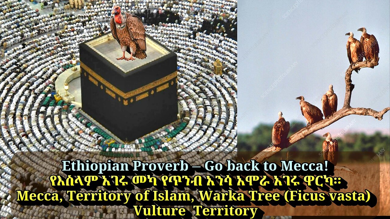 All Muslims Should Leave Non Muslim Countries – They've 57 Countries of Their Own to Live Happily in