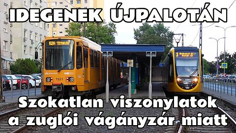 2025.07.24. Meghosszabbított 3, 62A villamosok Újpalotára. Vágányzár Zuglóban az Erzsébet K.né útján