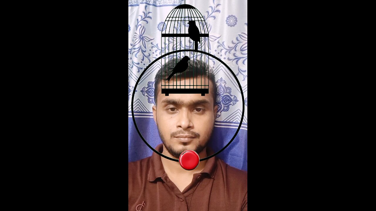 পাখির খাঁচা থেকে পাখিটি উড়িয়ে দেখান ৪৪ #reels #puzzle #tending