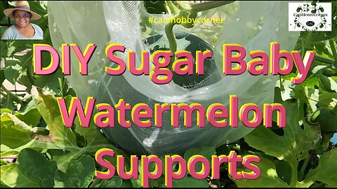 DIY Sugar Baby Watermelon Supports -#catshobbycorner #watermelon