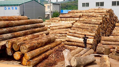 Wooden Furniture Mass Production Factory. Wood Couch Manufacturing Process