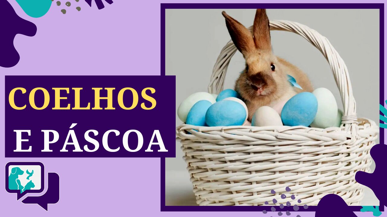Coelhos e Páscoa: Uma Tradição com Consequências
