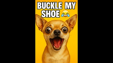 Chihuahua Sings One Two Buckle My Shoe 😂 | Funniest Dog Meme Ever