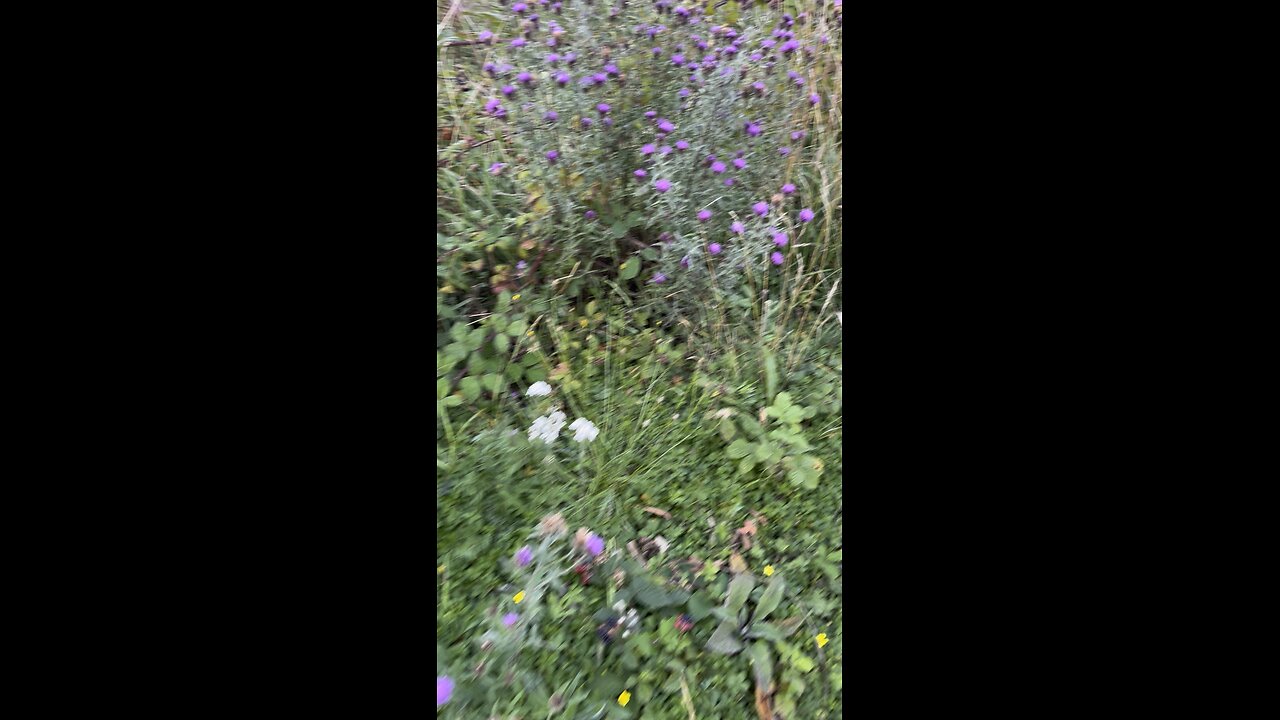 Let’s walk through the nature