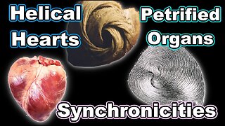 Helical Hearts - Petrified Organs - Synchronicities
