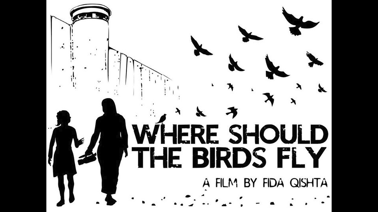 Where Should The Birds Fly (2013)