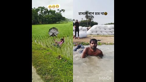 One falls in a paddy field due to wind. Another jumps into a marsh, mistaking it for a pond.