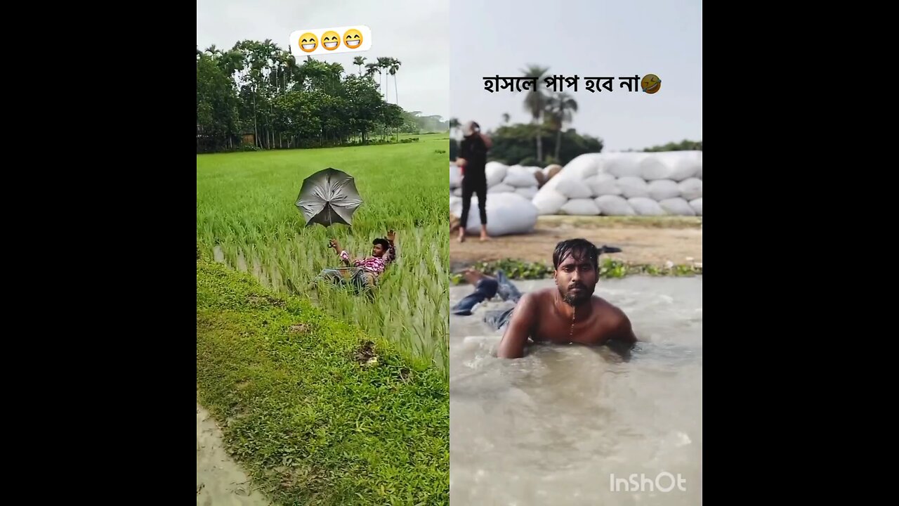 One falls in a paddy field due to wind. Another jumps into a marsh, mistaking it for a pond.