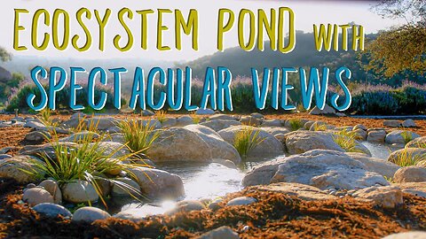 From Mulch to Masterpiece: Ecosystem Pond Build with Epic Views | Flow Landscape