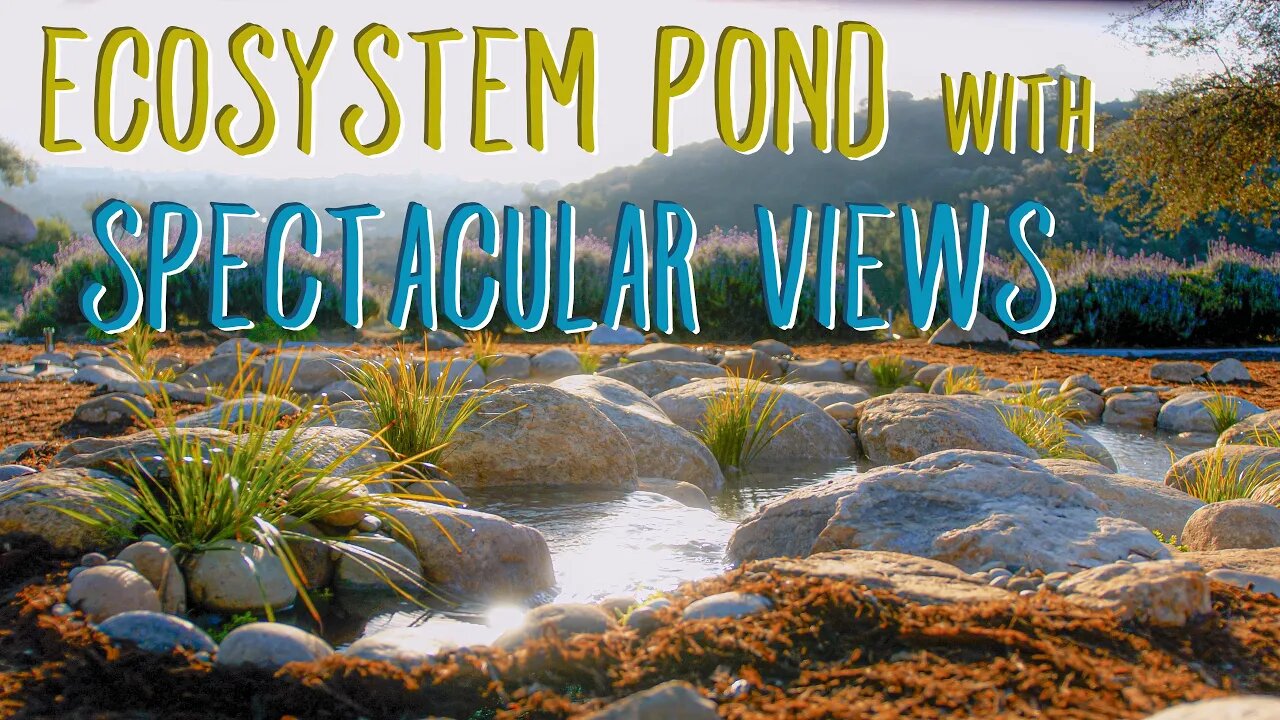 From Mulch to Masterpiece: Ecosystem Pond Build with Epic Views | Flow Landscape