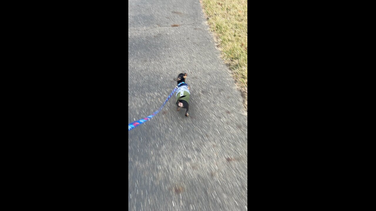 First walk