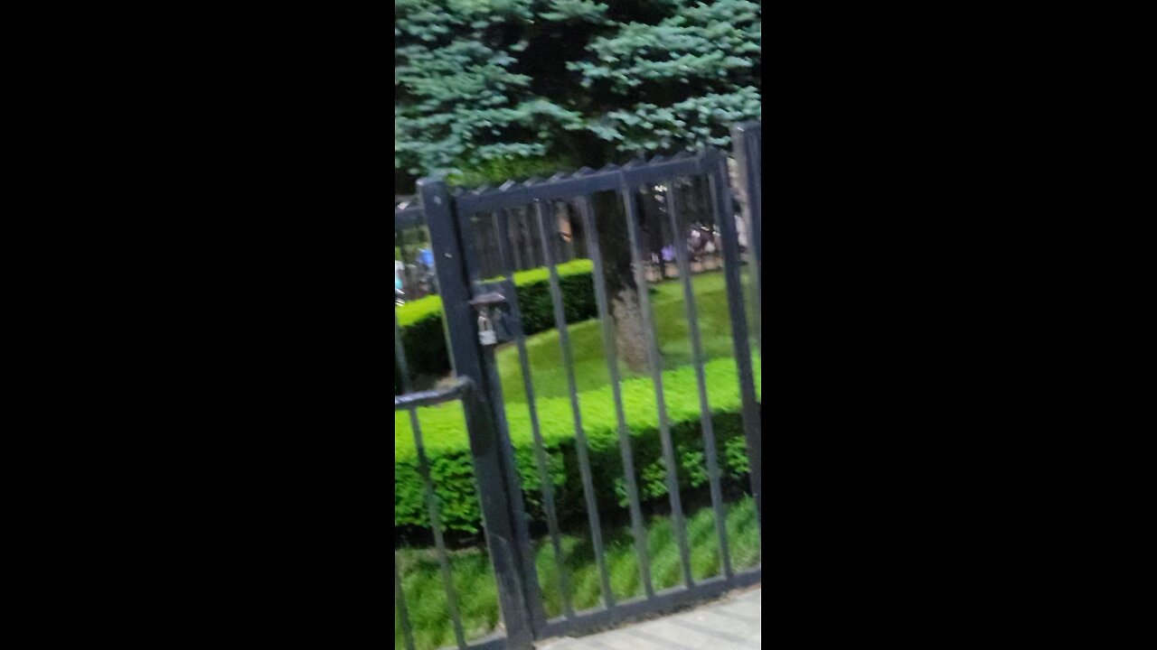 Exposing the NY Predators Dept and their. civilian destructive cult members.