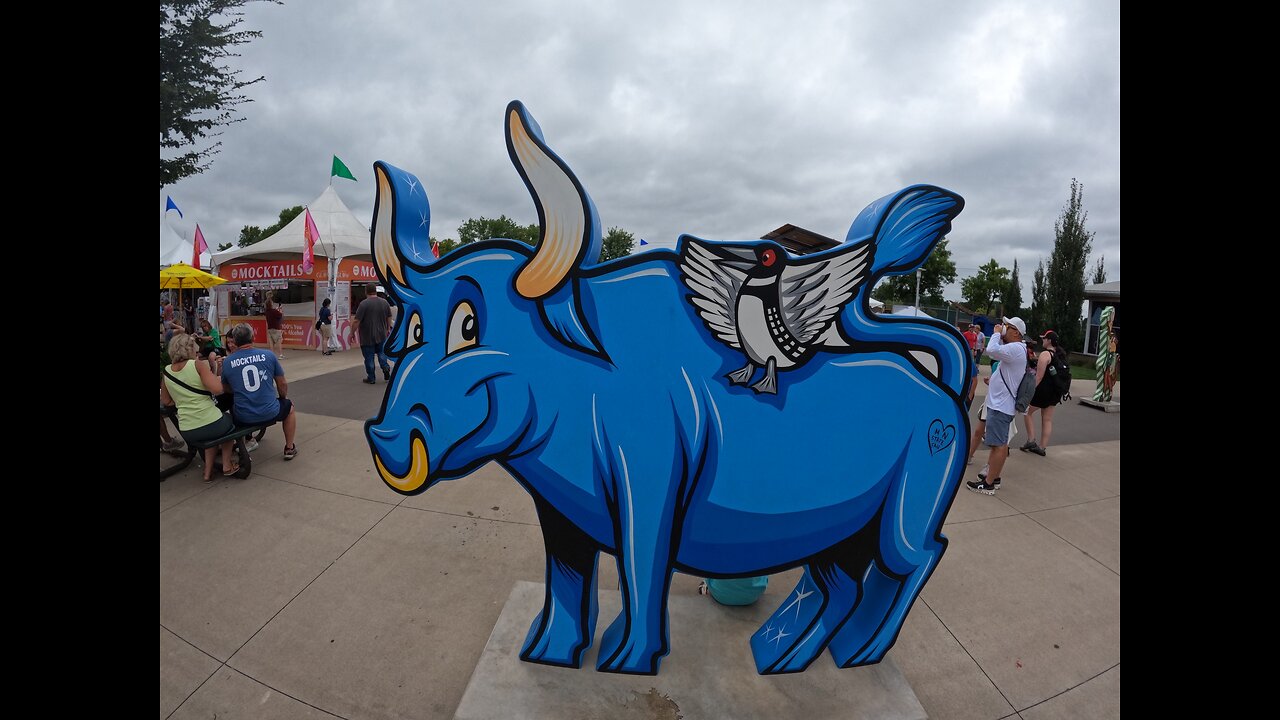 Sarasota Tim Haters New York Dan Classless with Leslie Karl-Bohemian No Mad Mr. Crash AGAIN