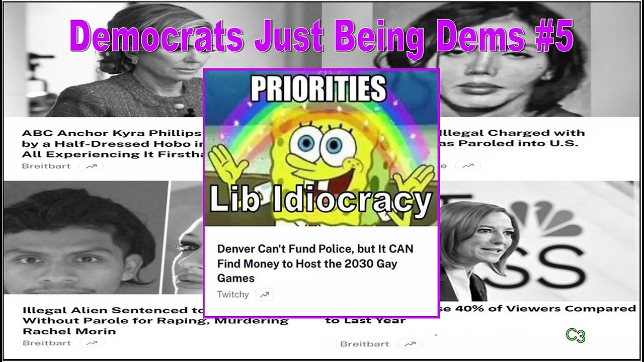 Democrats Just Being Democrats #5