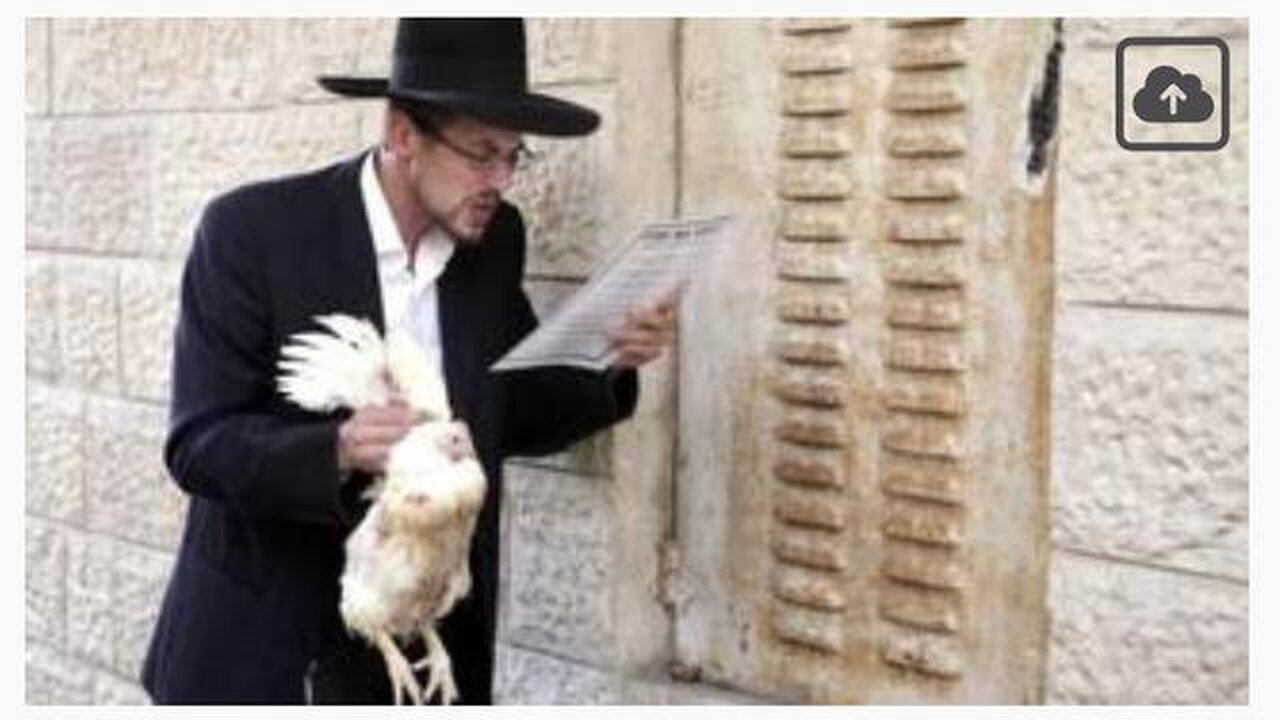 ✡ KOSHER CRUELTY: JEWISH RITUAL ANIMAL SLAUGHTER ✡ - AurigaBooks