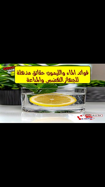 فوائد الماء والليمون: حقائق مذهلة للجهاز الهضمي والمناعة