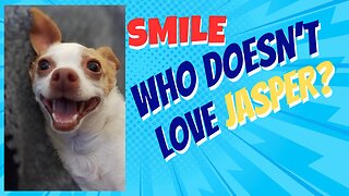 Everybody Loves Jasper!
