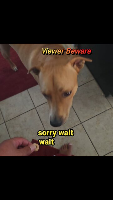 Vicious Food Response Handled Perfectly