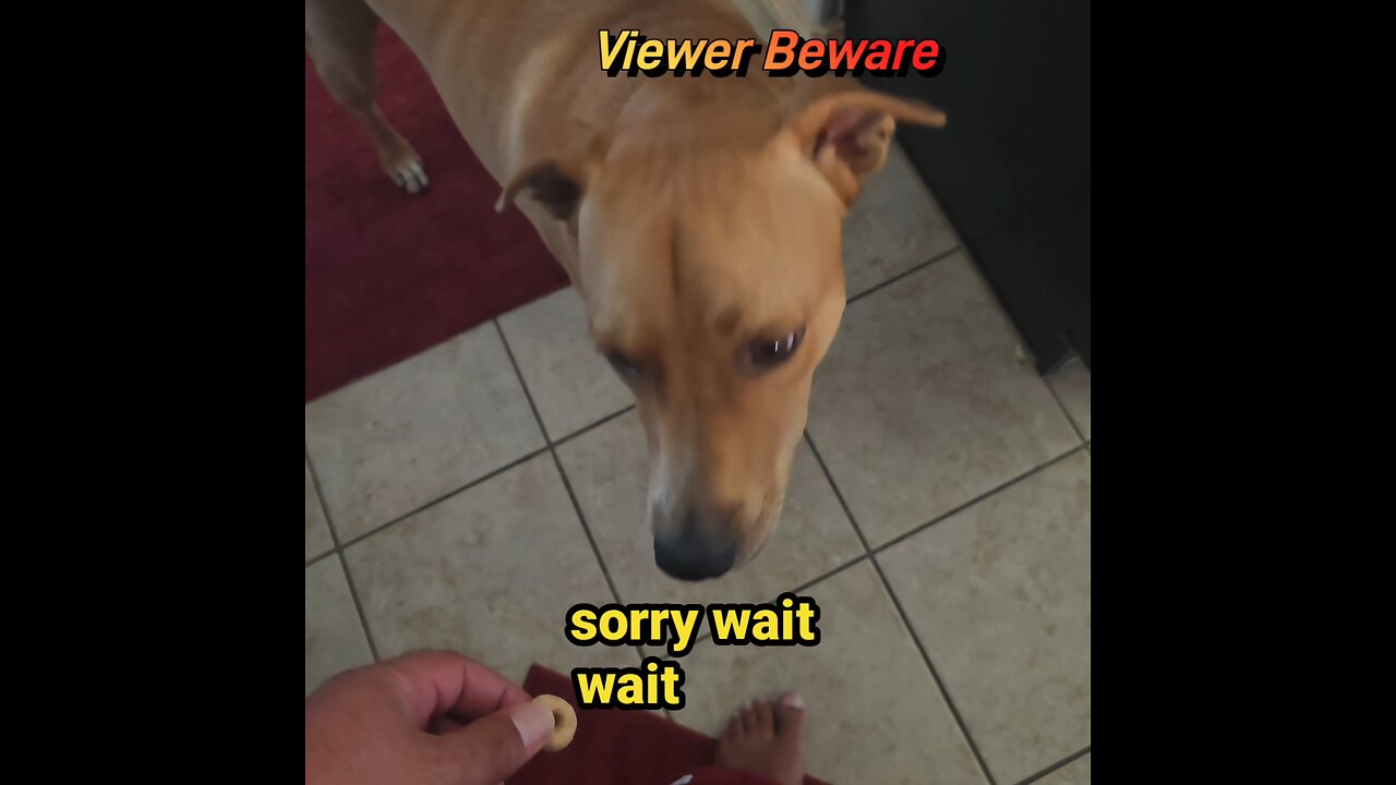 Vicious Food Response Handled Perfectly