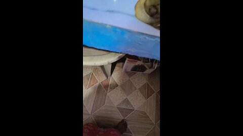 mini vlog #making