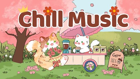 Chill Music Lofi Kitty 🌷 1 Hr Songs ☕Cute lofi mix🌟study chill relax ☀️ Make Your Day Better