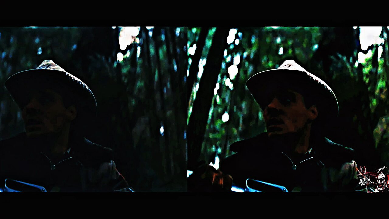 First Blood Forest Scene Brightened (4K HDR)