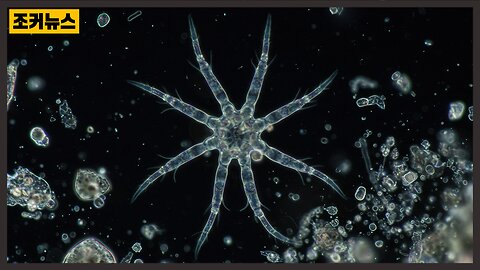 '괴이하다' Chemtrail Hydra
