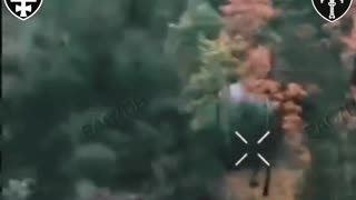 Having Scrambled Legs for Breakfast