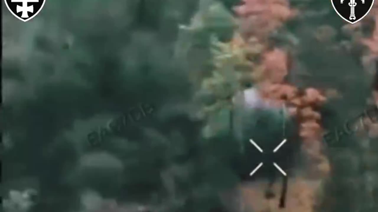 Having Scrambled Legs for Breakfast