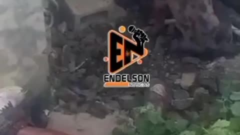 BURGLAR RIPPED APART BY DOGS