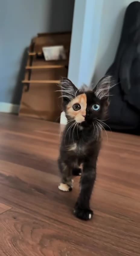 The sun and the moon in one cute face