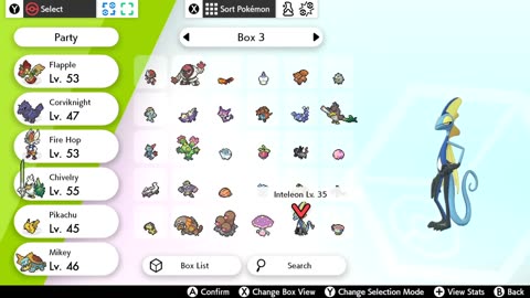 Pokemon Shield Day 9 Part 1 of 2