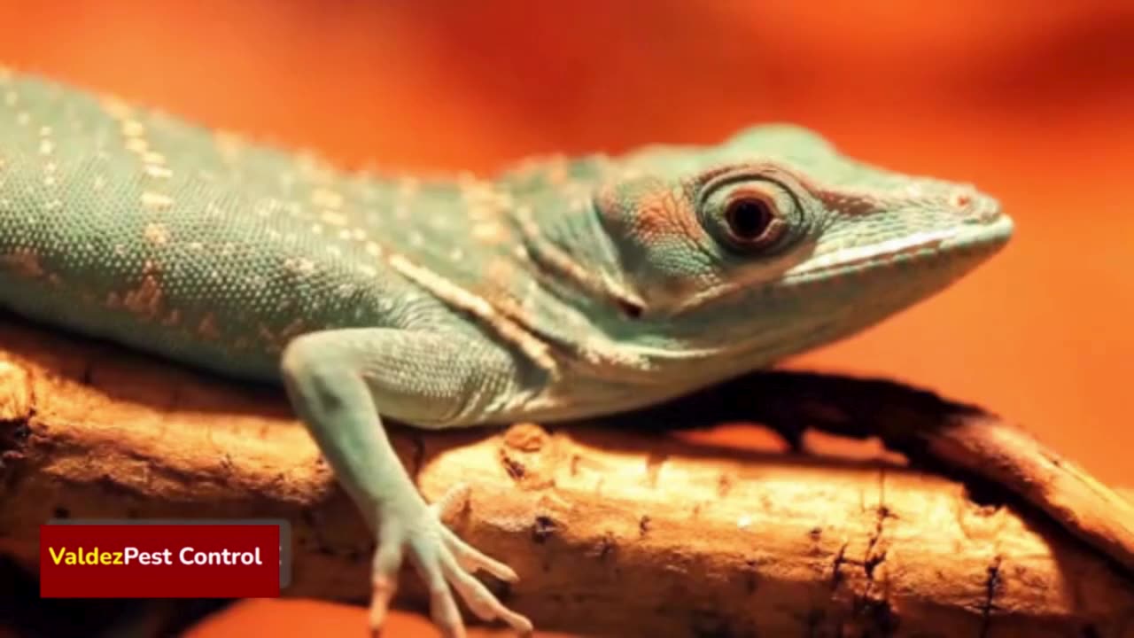 Top 5 Bizarre Pests You Never Knew Existed