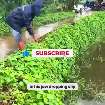 Man Uses LIVE Duck as Bait! Watch This Shocking Footage Unfold!