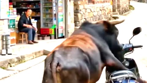 When AI confuses you