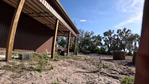 How To Lay Sod All By Yourself