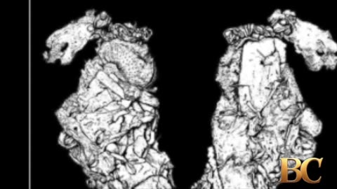 Archaeologists discover Ice Age garment that could be the oldest piece of clothing in history