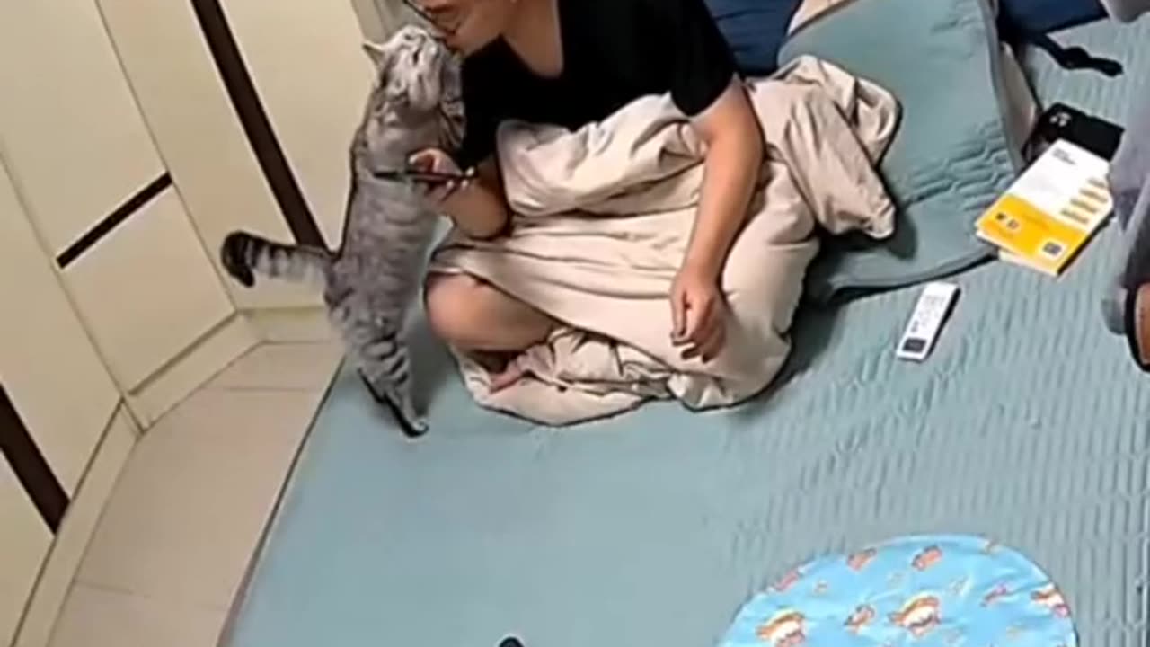 Cat love