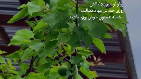 شعر عاشقانه فضای عالی باران