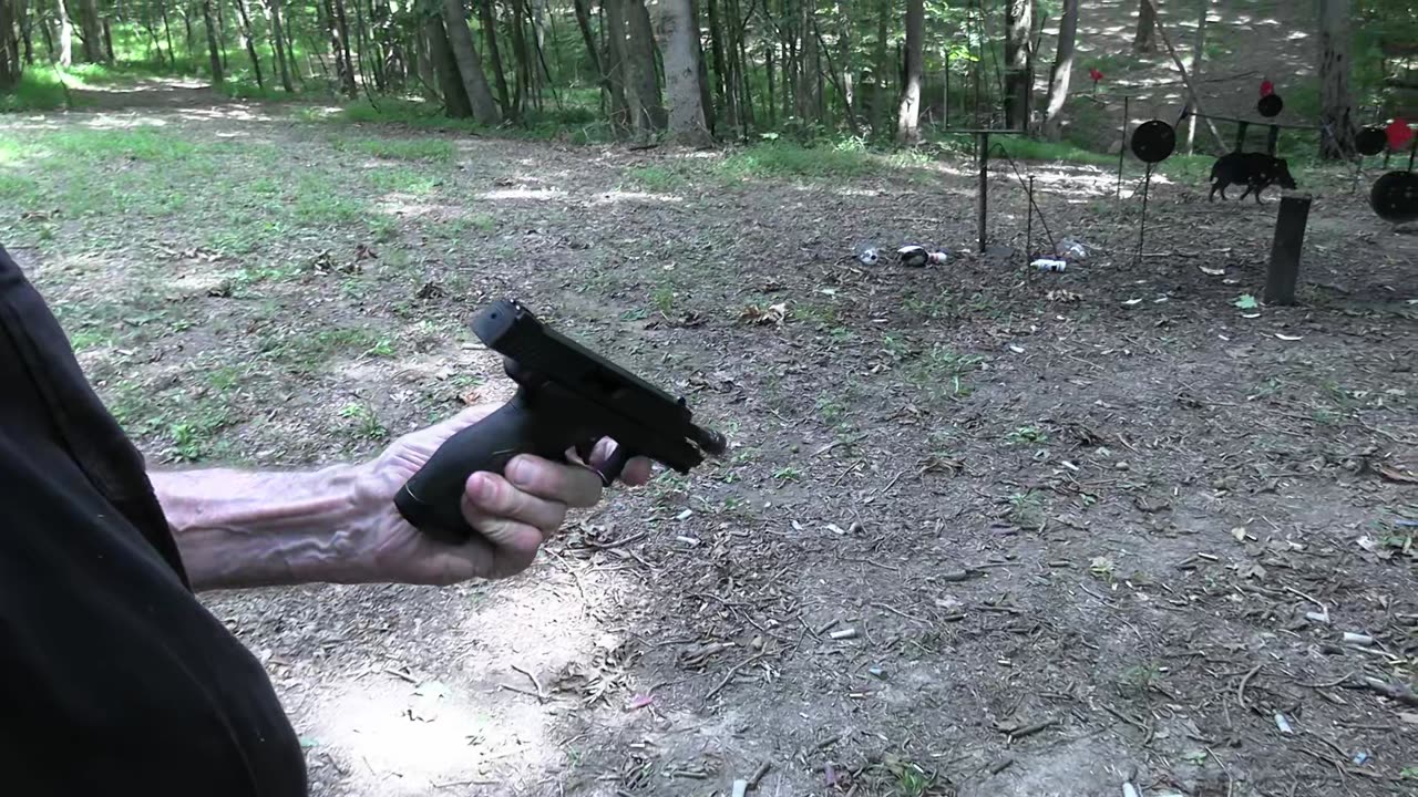 What's Wrong with a .22 Caliber Revolver?