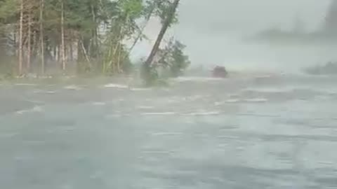 Fall of Great Trees 🌳 | Epic Nature Moments & Shocking Collapses”