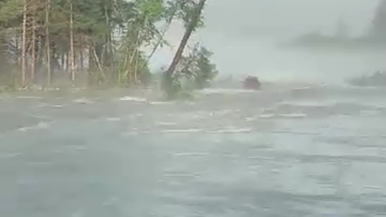 Fall of Great Trees 🌳 | Epic Nature Moments & Shocking Collapses”