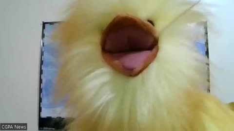 Funny Outtake from CGPA Puppet News Christmas Message. Enjoy...