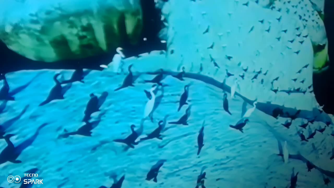 a place you wouldn't believe exist in Africa