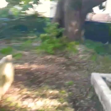 Creepiest surname #grave #death #cemetery - Cemeteries Downunder