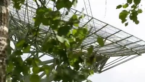 Daily Horoscope | Scorpio 🌟