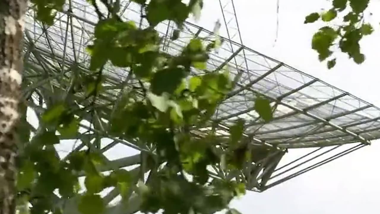 Daily Horoscope | Scorpio 🌟